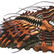 Illustration for article titled (Final) Fantasy vs. Reality: Doomtrain